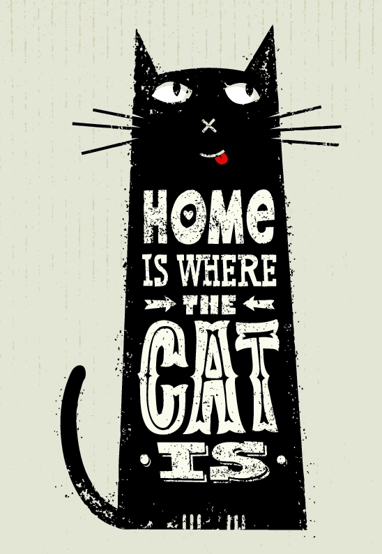 Home Is Where The Cat Is